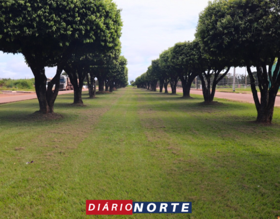 Cidade limpa: Corte de grama e podas de árvores deixam Terra Nova mais bonita