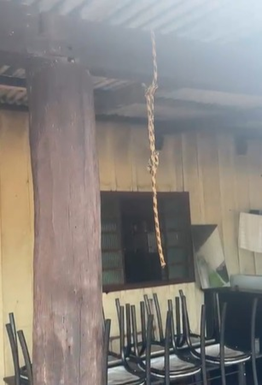 Polícia Militar de Marcelândia evita suicídio com ação rápida e salvamento heroico