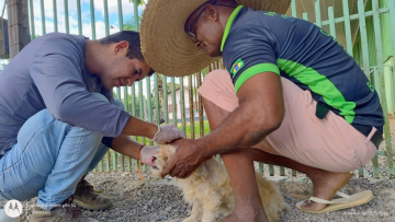 Vigilância sanitária de Matupá realiza 34 testes para detectar Leishmaniose em cães