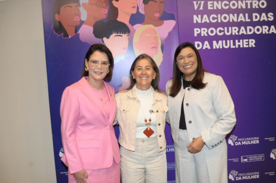 Vereadora Rose Rizzieri participou nesta quarta do Encontro Nacional de Procuradoras da Mulher em Brasília