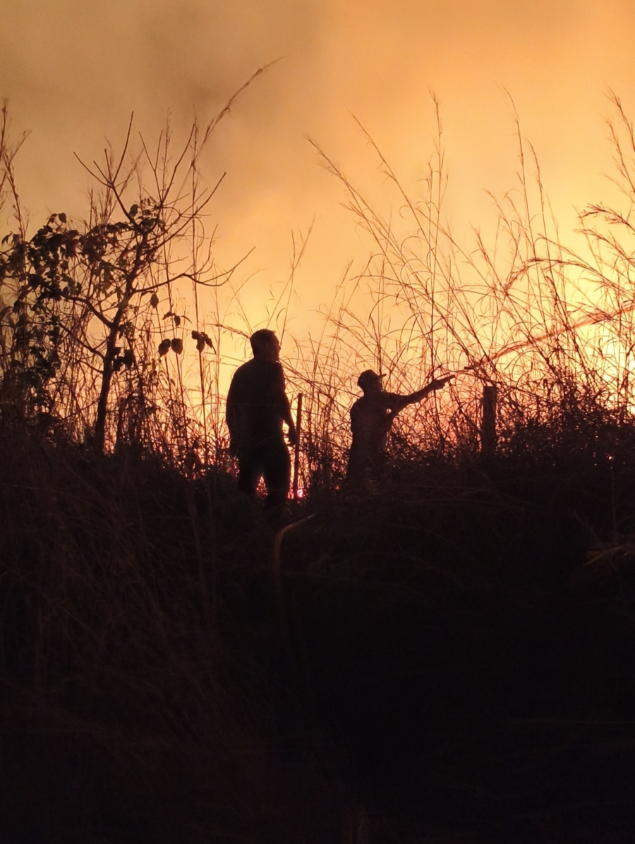 Incêndio em chácara mobiliza caminhões-pipa e assusta moradores em Terra Nova do Norte