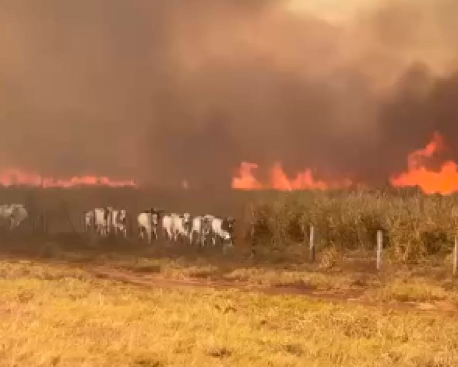 Incêndio chega ao terceiro dia e avança por áreas rurais de Jangada