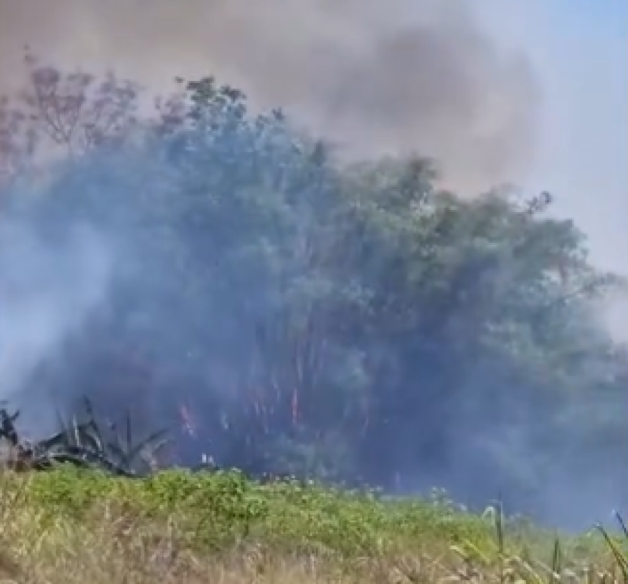 Incêndio de grandes proporções assusta moradores de Matupá