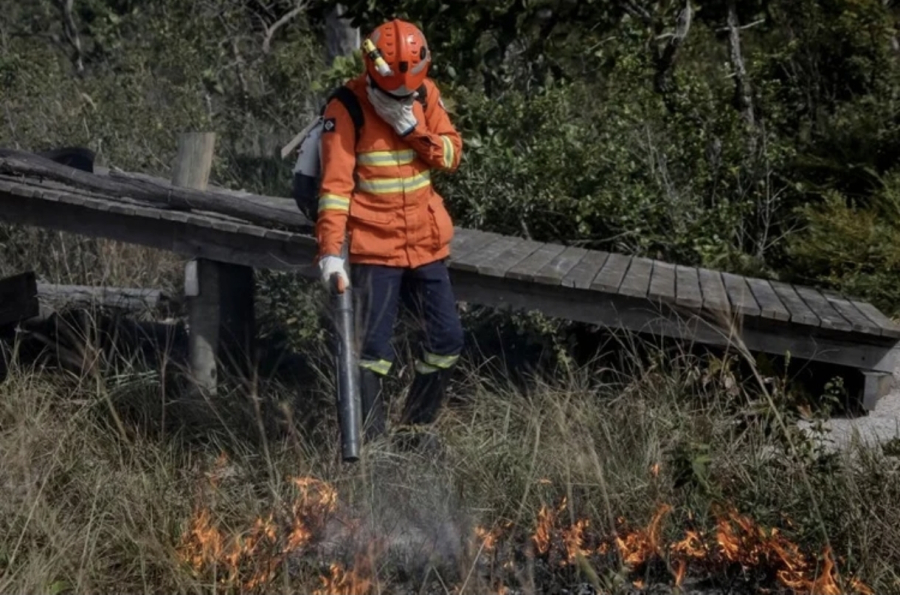 Bombeiros combatem 12 incêndios florestais em Mato Grosso